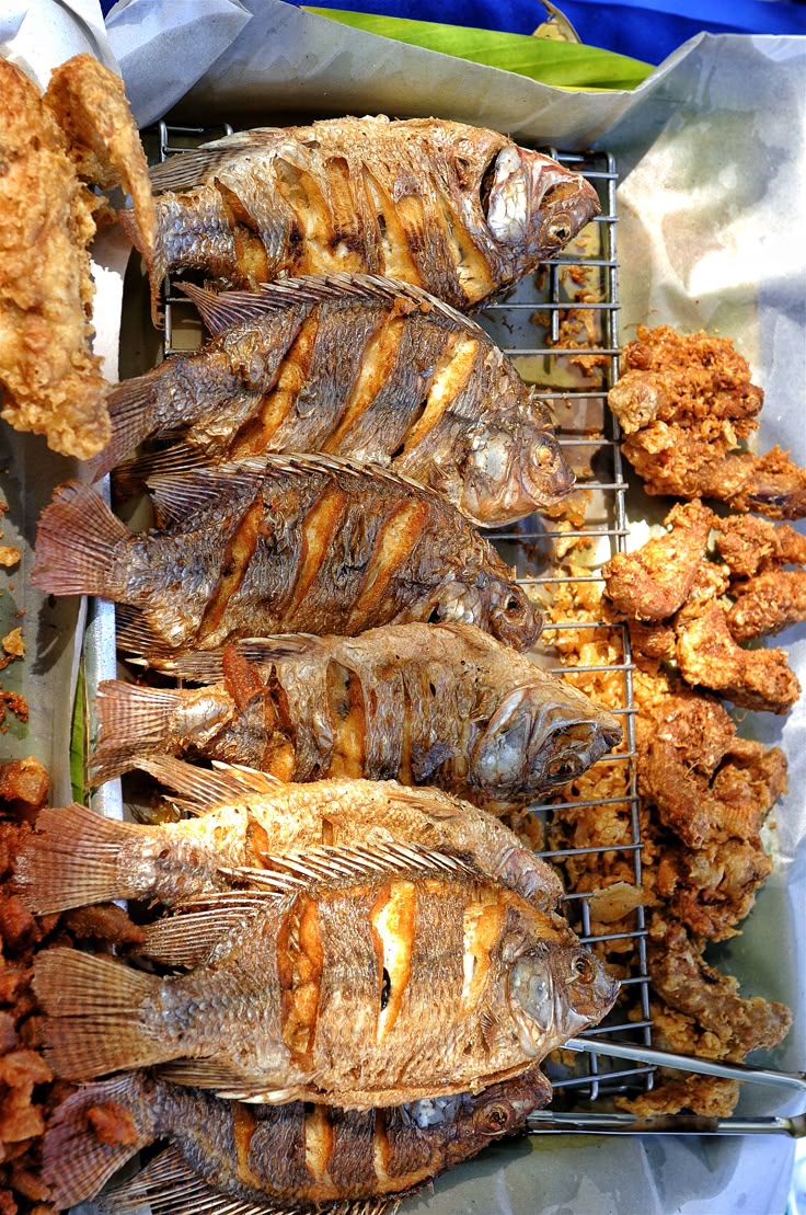 Large Dry Fish